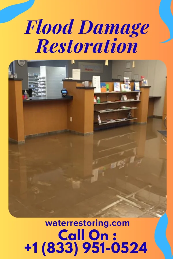Flood Damage Restoration in Cape Carteret, NC