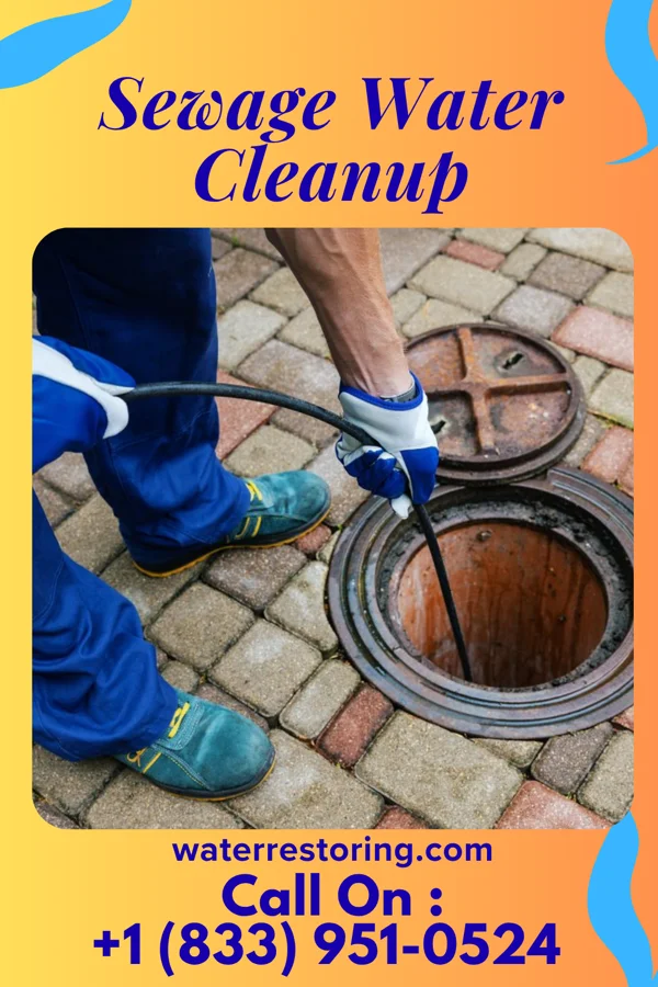 Sewage Water Cleanup in Cape Carteret, NC