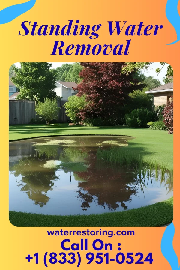 Standing Water Removal in Cape Carteret, NC